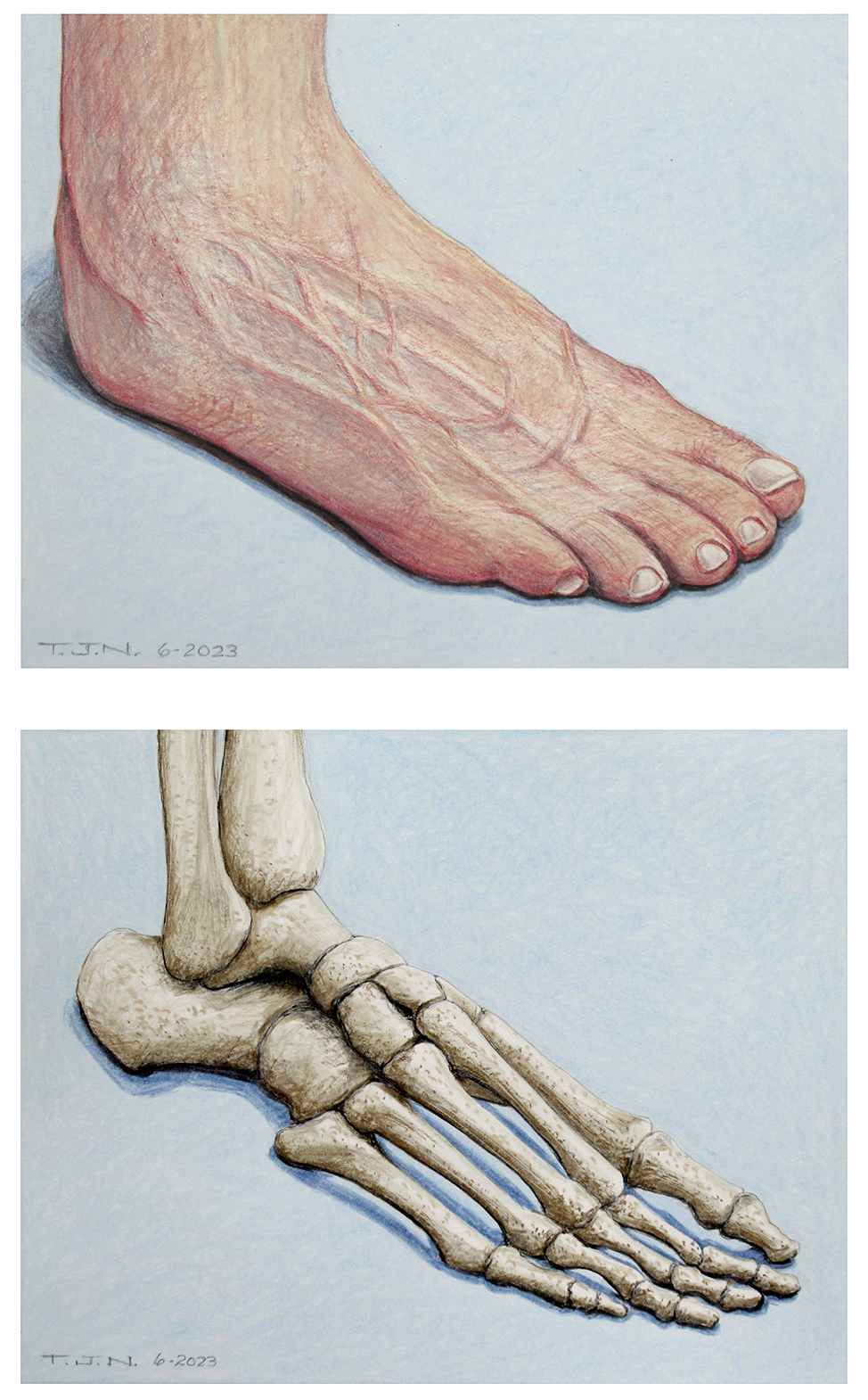 Human Foot Diptych