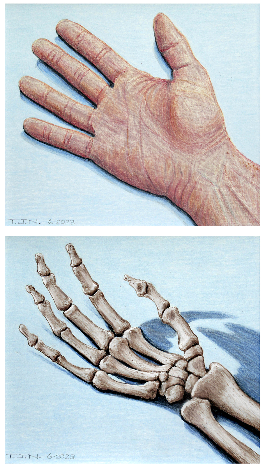 Human Hand Diptych